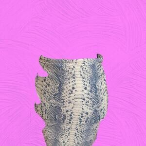 Matte Collection Snakeskin Print Mini Skirt